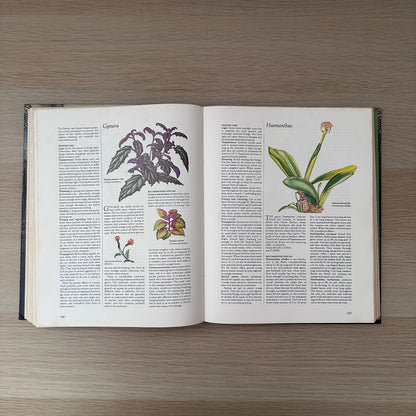 Complete Guide to Indoor Plants | 1981 | Reader's Digest