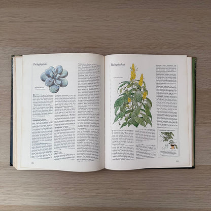 Complete Guide to Indoor Plants | 1981 | Reader's Digest