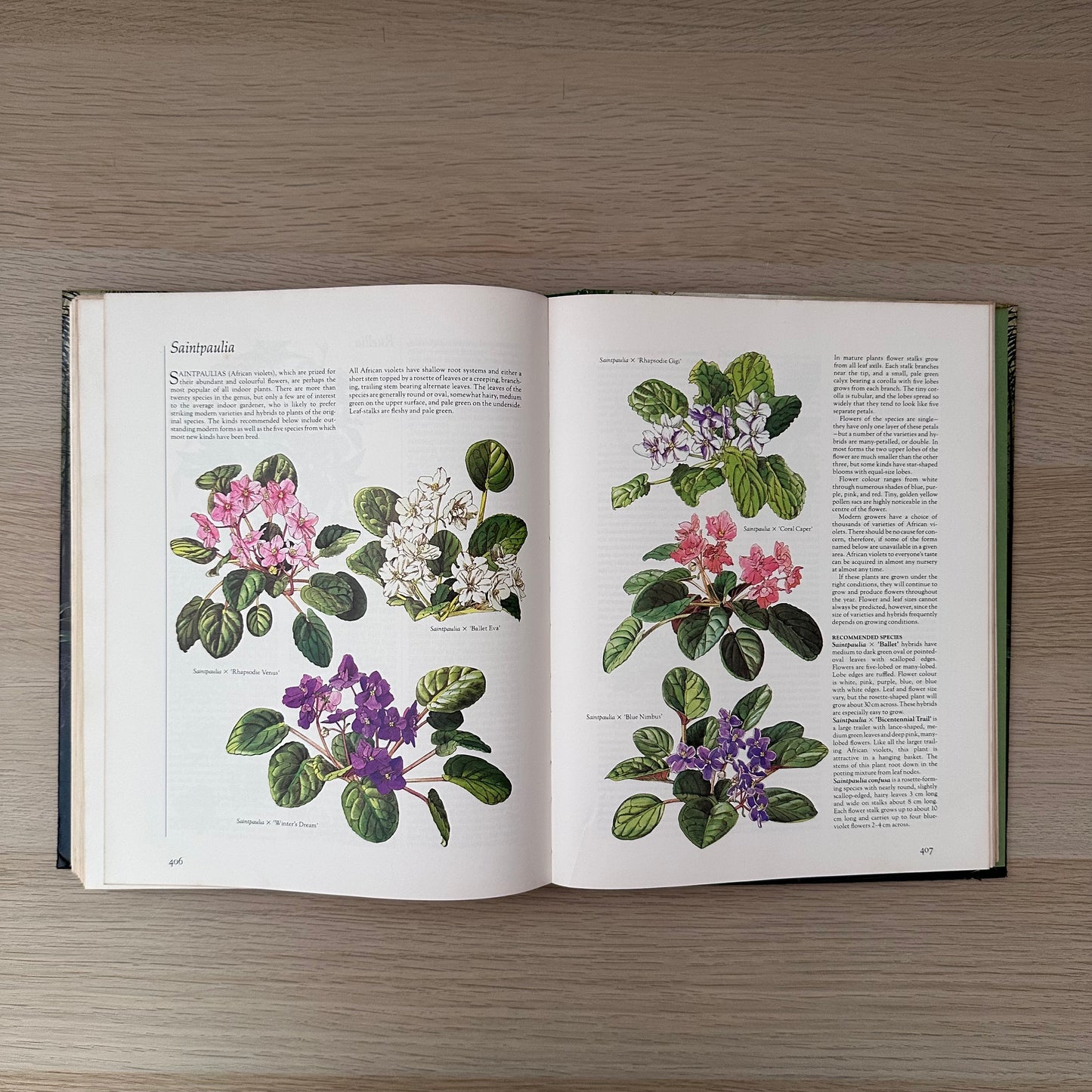 Complete Guide to Indoor Plants | 1981 | Reader's Digest