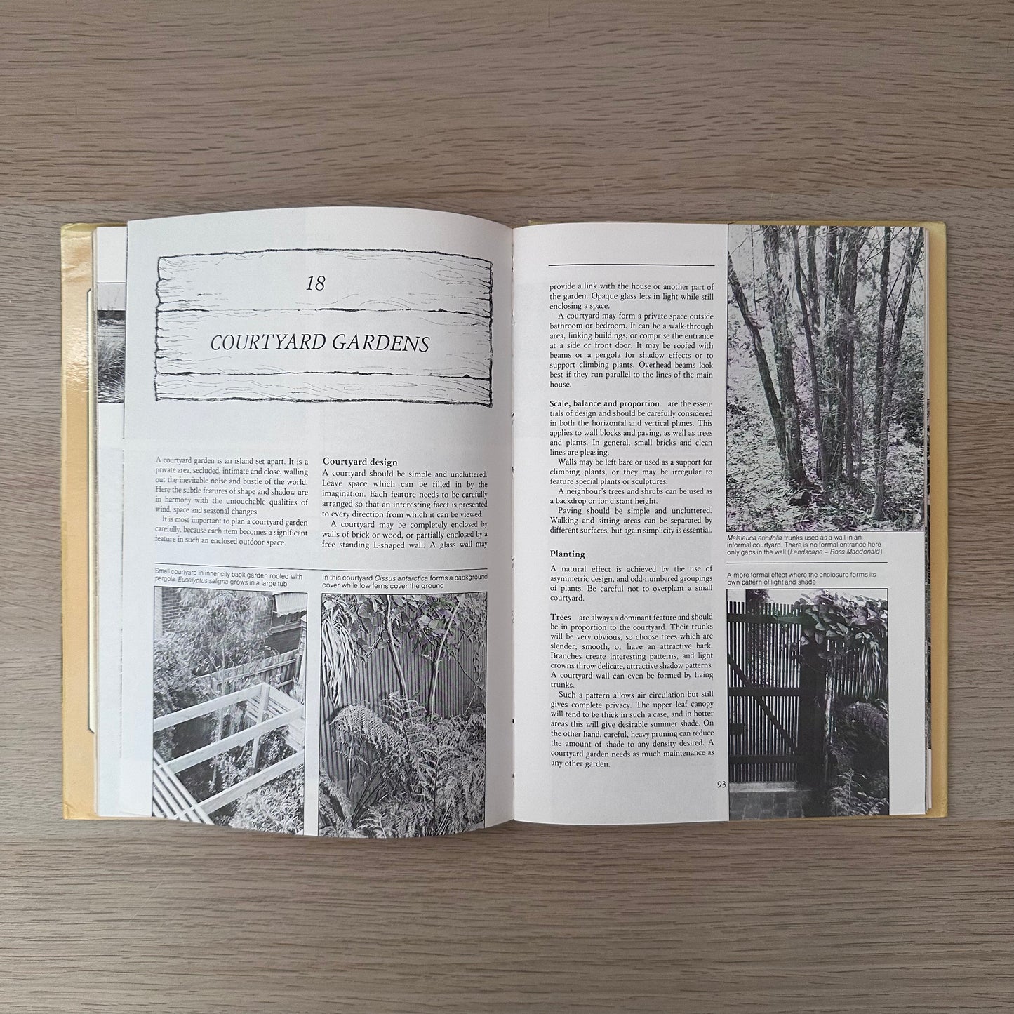 Native Gardens | 1983 | Bill Molyneux & Ross MacDonald