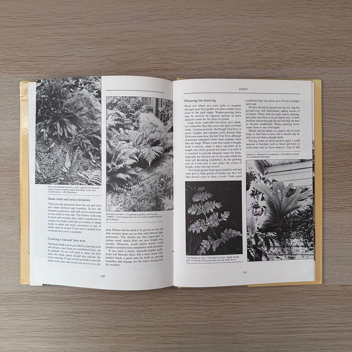 Native Gardens | 1983 | Bill Molyneux & Ross MacDonald