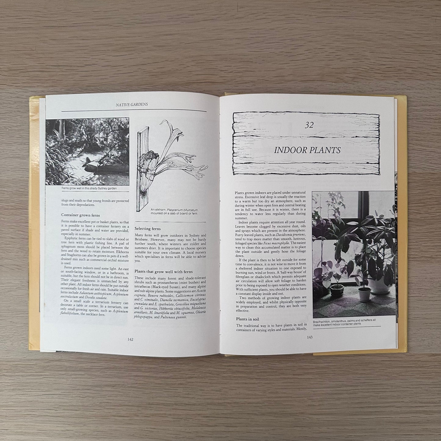 Native Gardens | 1983 | Bill Molyneux & Ross MacDonald