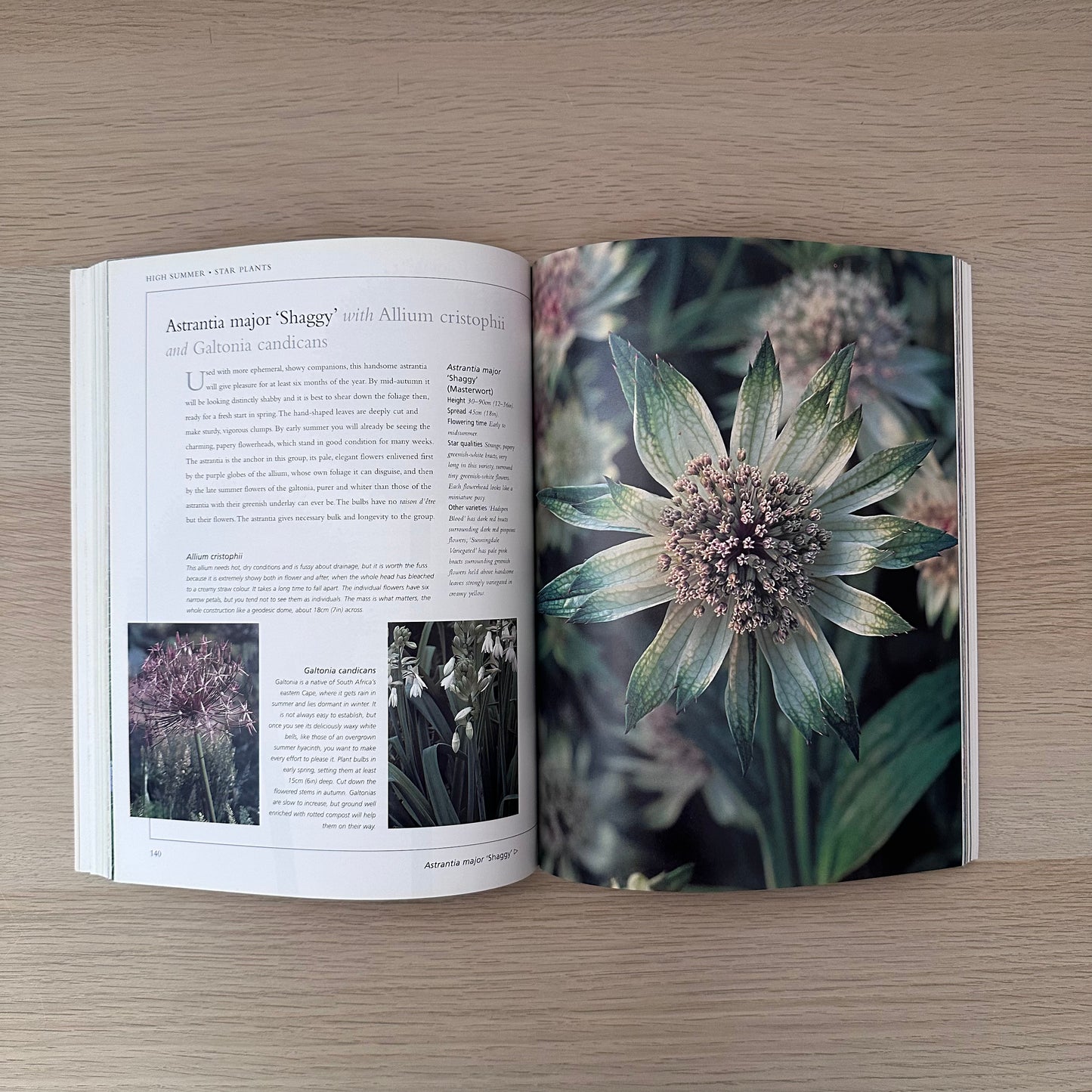 Plant Partners | Anna Pavord