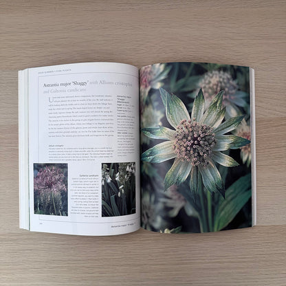 Plant Partners | Anna Pavord