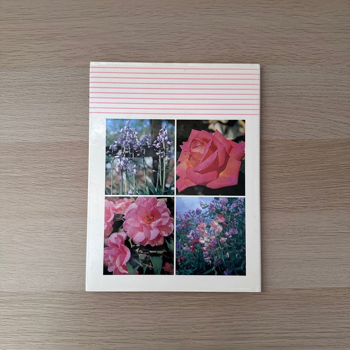 The Australian Gardener | 1985 | Golden Press