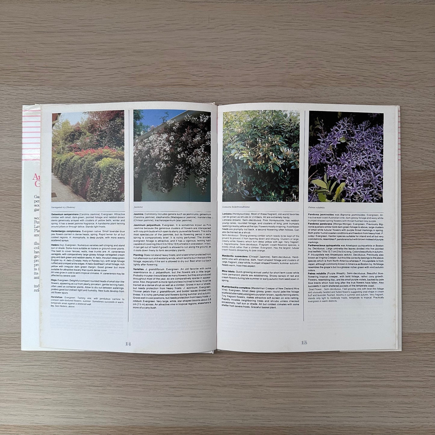 The Australian Gardener | 1985 | Golden Press