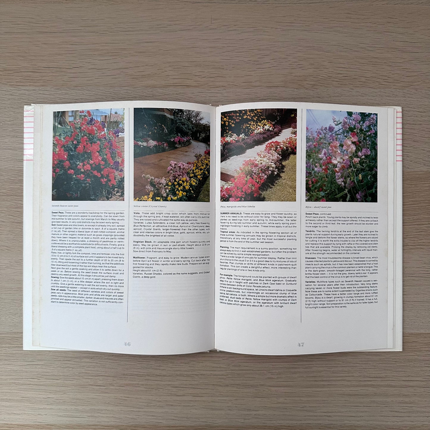 The Australian Gardener | 1985 | Golden Press