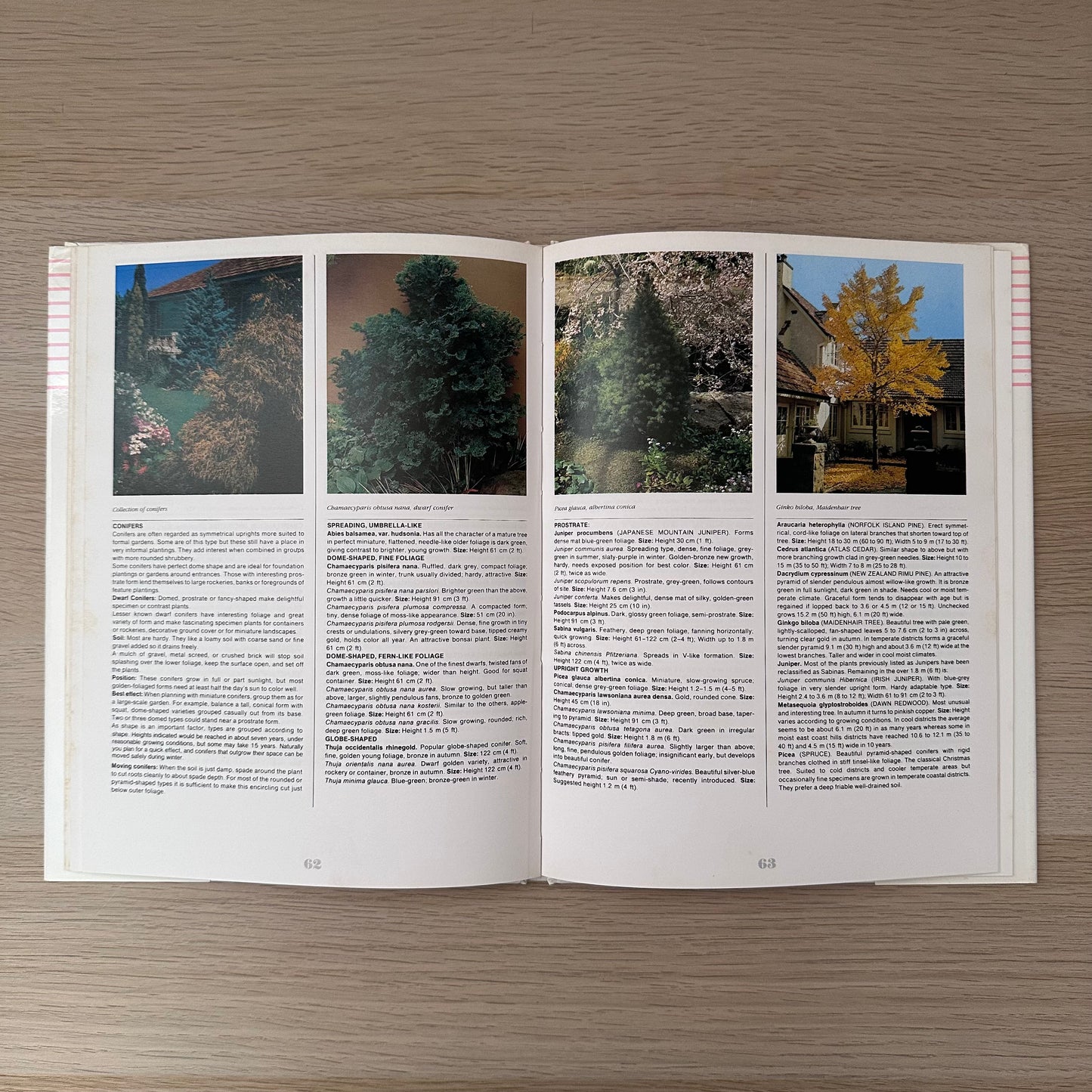 The Australian Gardener | 1985 | Golden Press