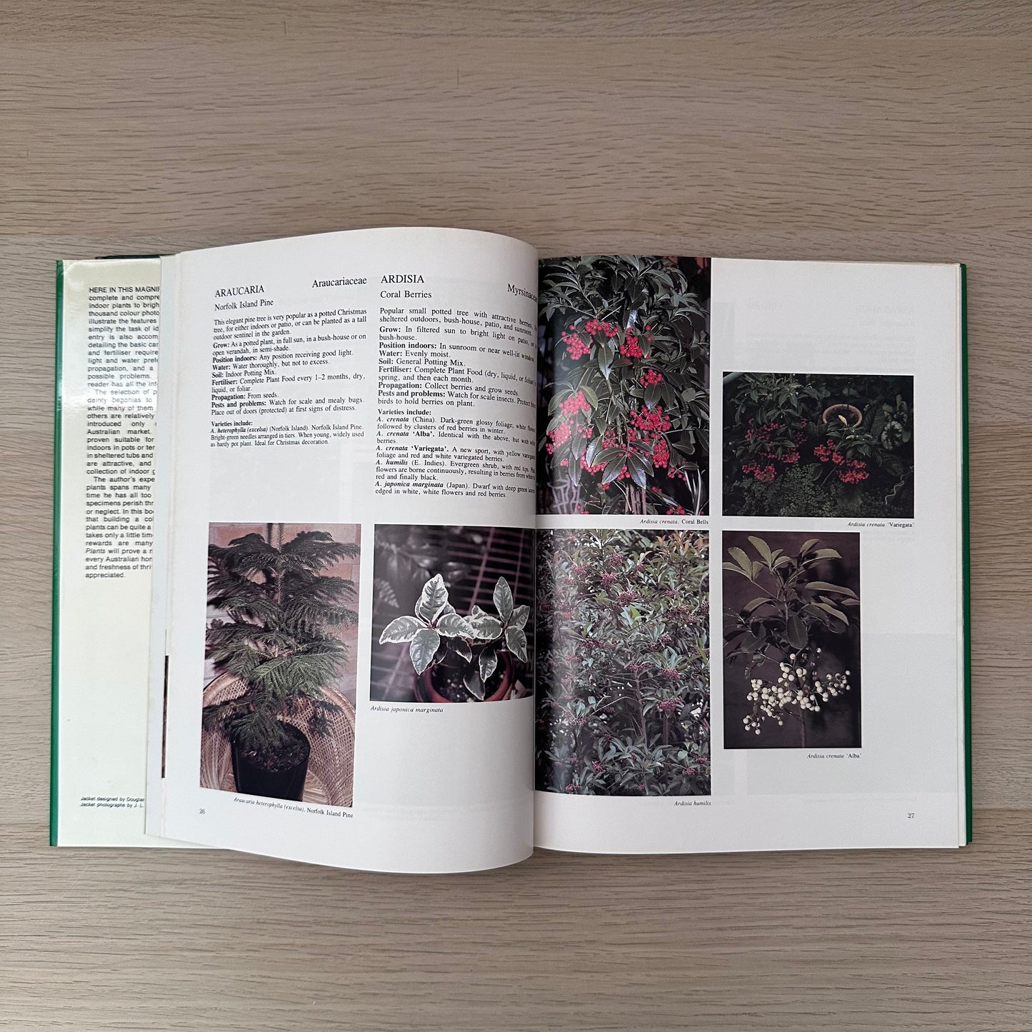 1000 Decorative Plants | 1983 | J.L. Krempin