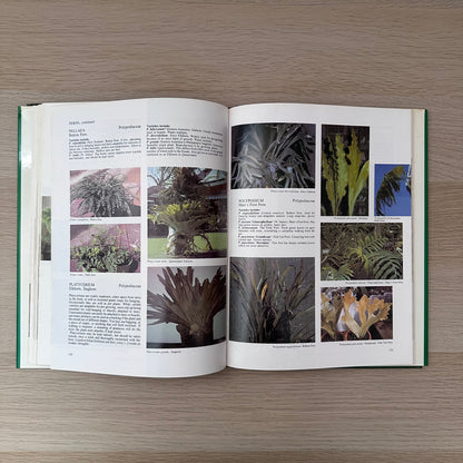 1000 Decorative Plants | 1983 | J.L. Krempin