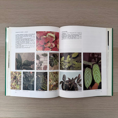1000 Decorative Plants | 1983 | J.L. Krempin