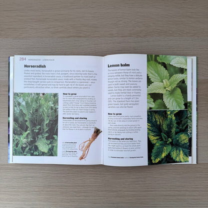 Grow Vegetables | Alan Buckingham