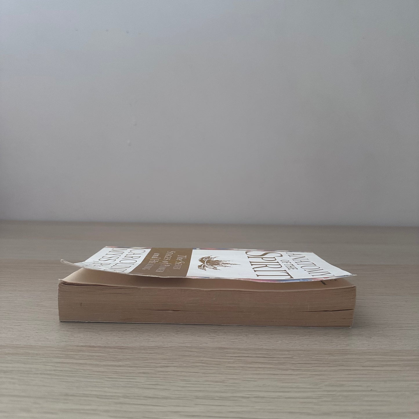 Anatomy of the Spirit | Caroline Myss