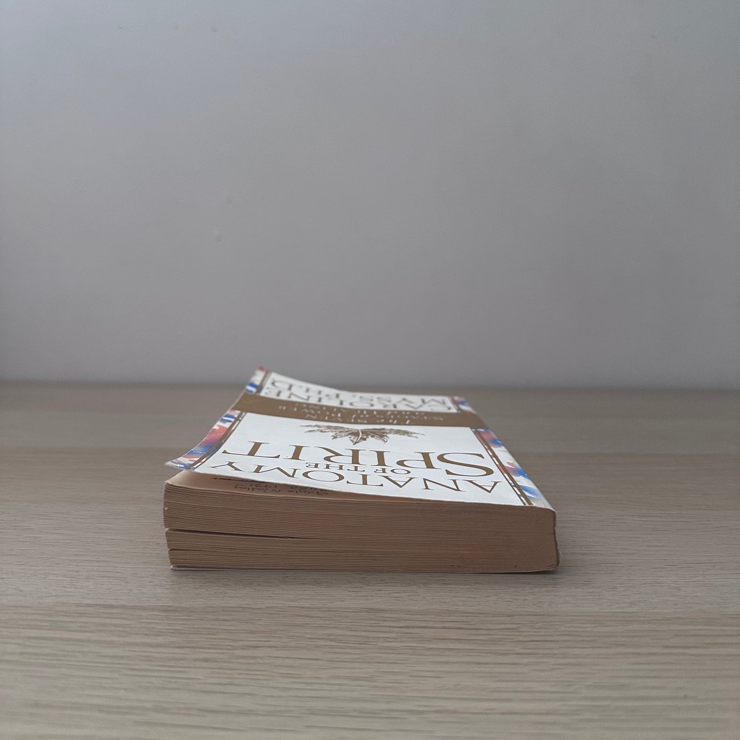 Anatomy of the Spirit | Caroline Myss