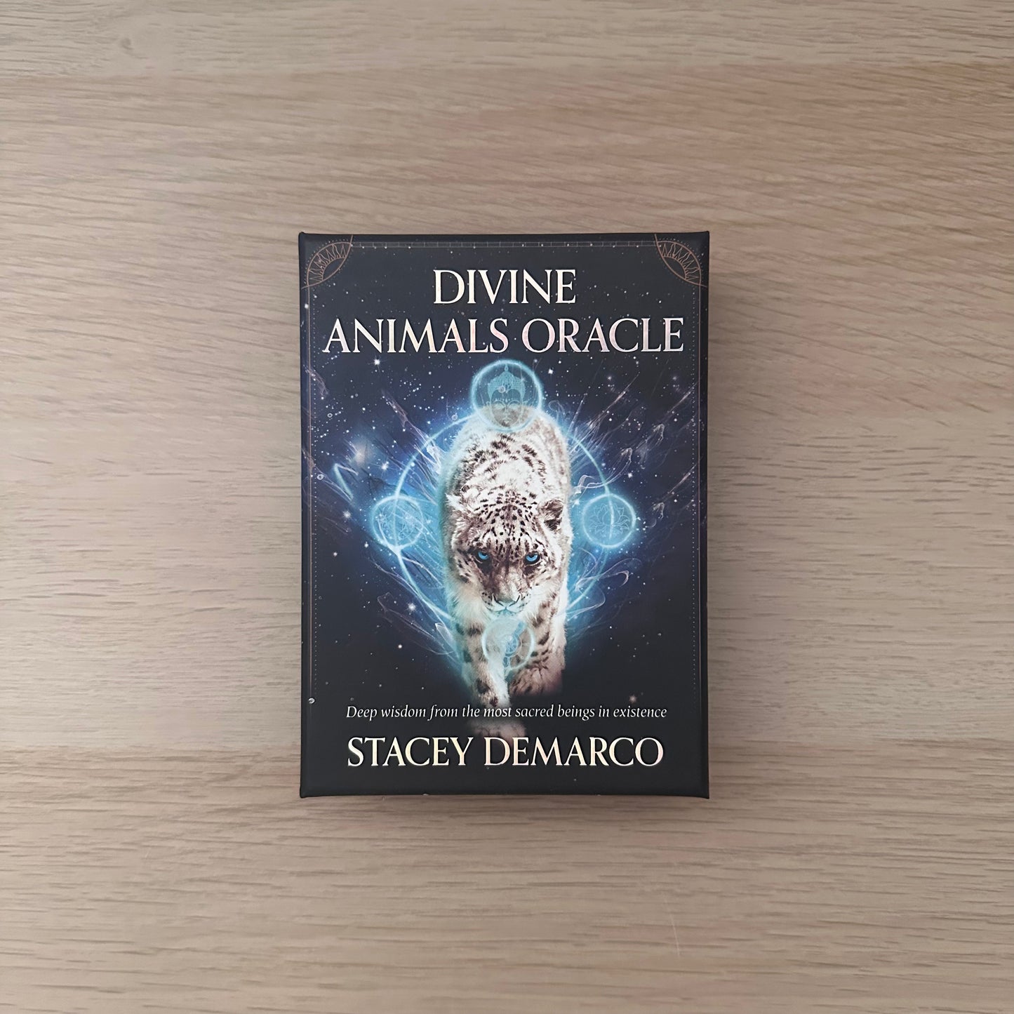 Divine Animals Oracle | Stacey Demarco