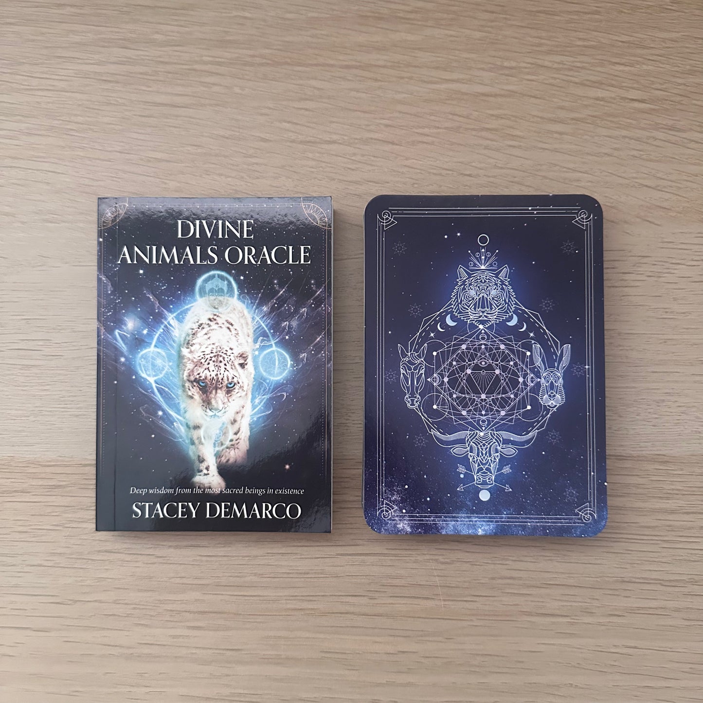 Divine Animals Oracle | Stacey Demarco