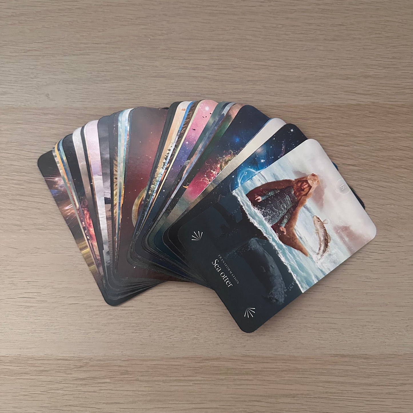 Divine Animals Oracle | Stacey Demarco