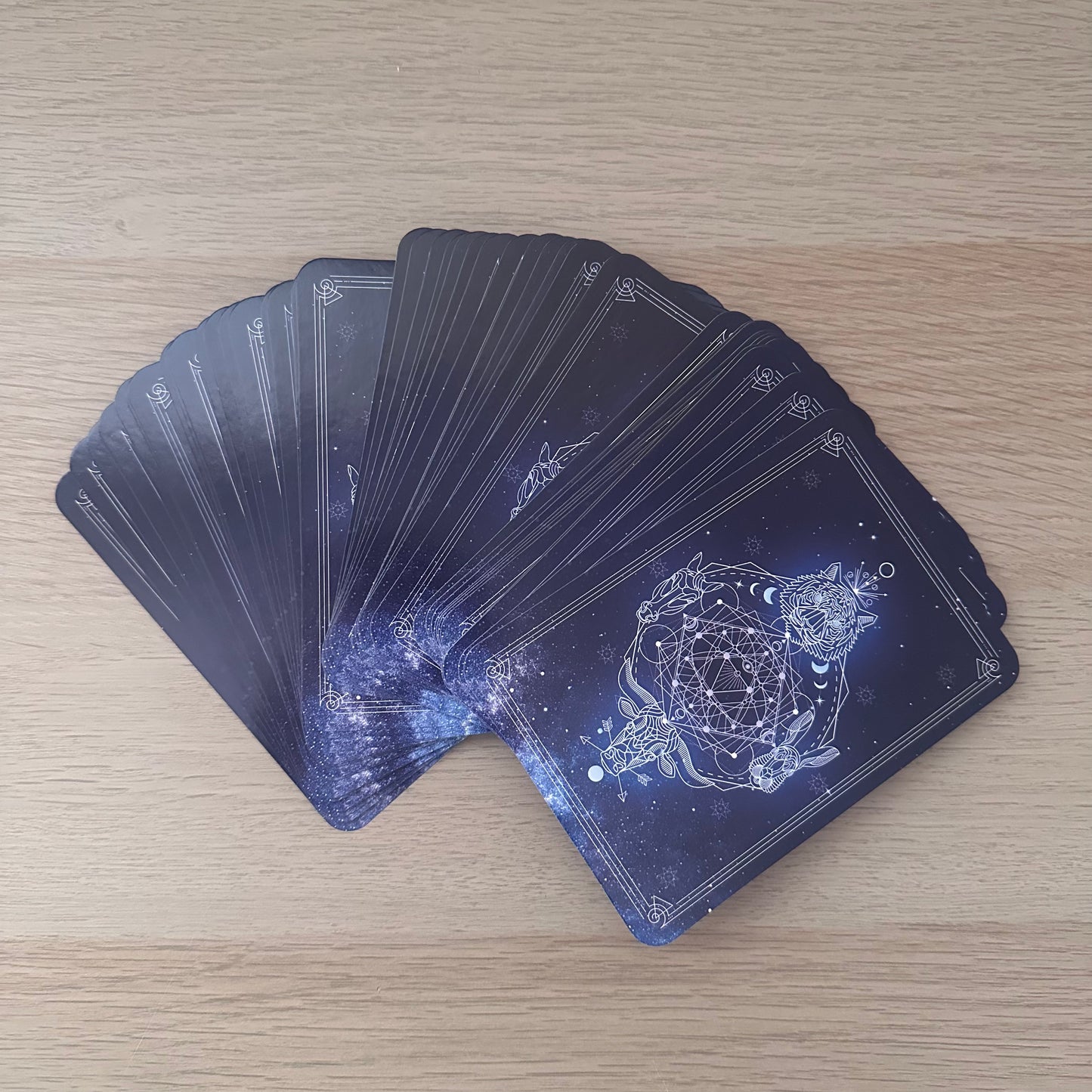 Divine Animals Oracle | Stacey Demarco