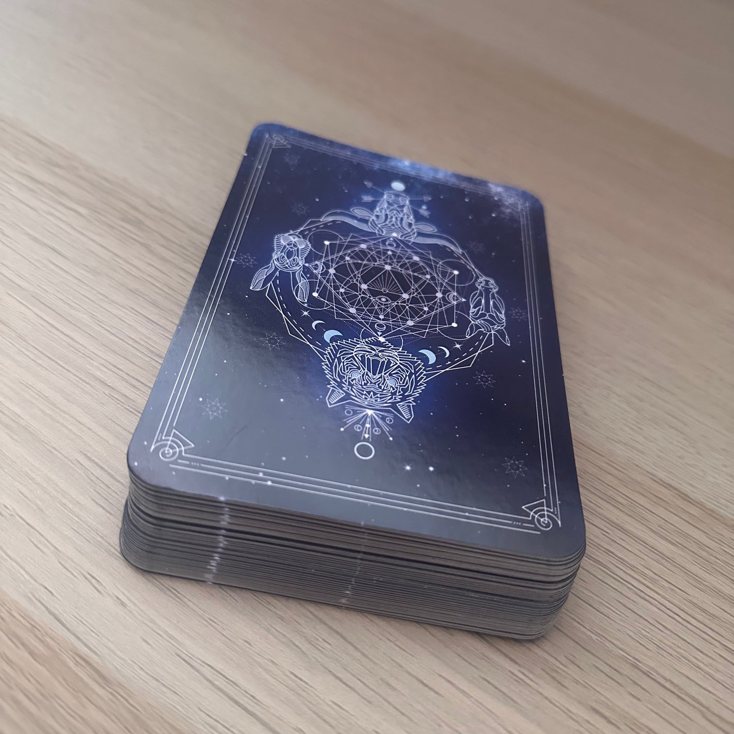 Divine Animals Oracle | Stacey Demarco