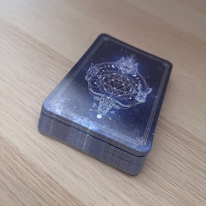 Divine Animals Oracle | Stacey Demarco