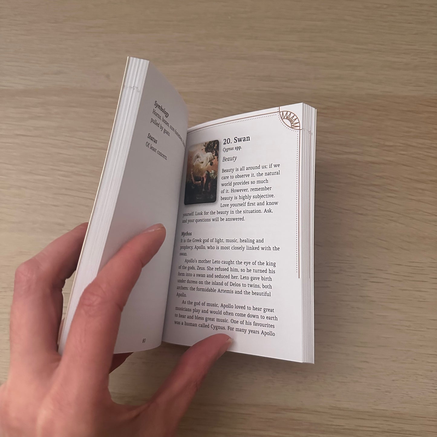 Divine Animals Oracle | Stacey Demarco