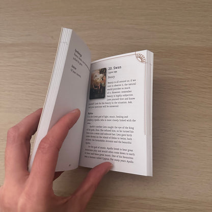 Divine Animals Oracle | Stacey Demarco