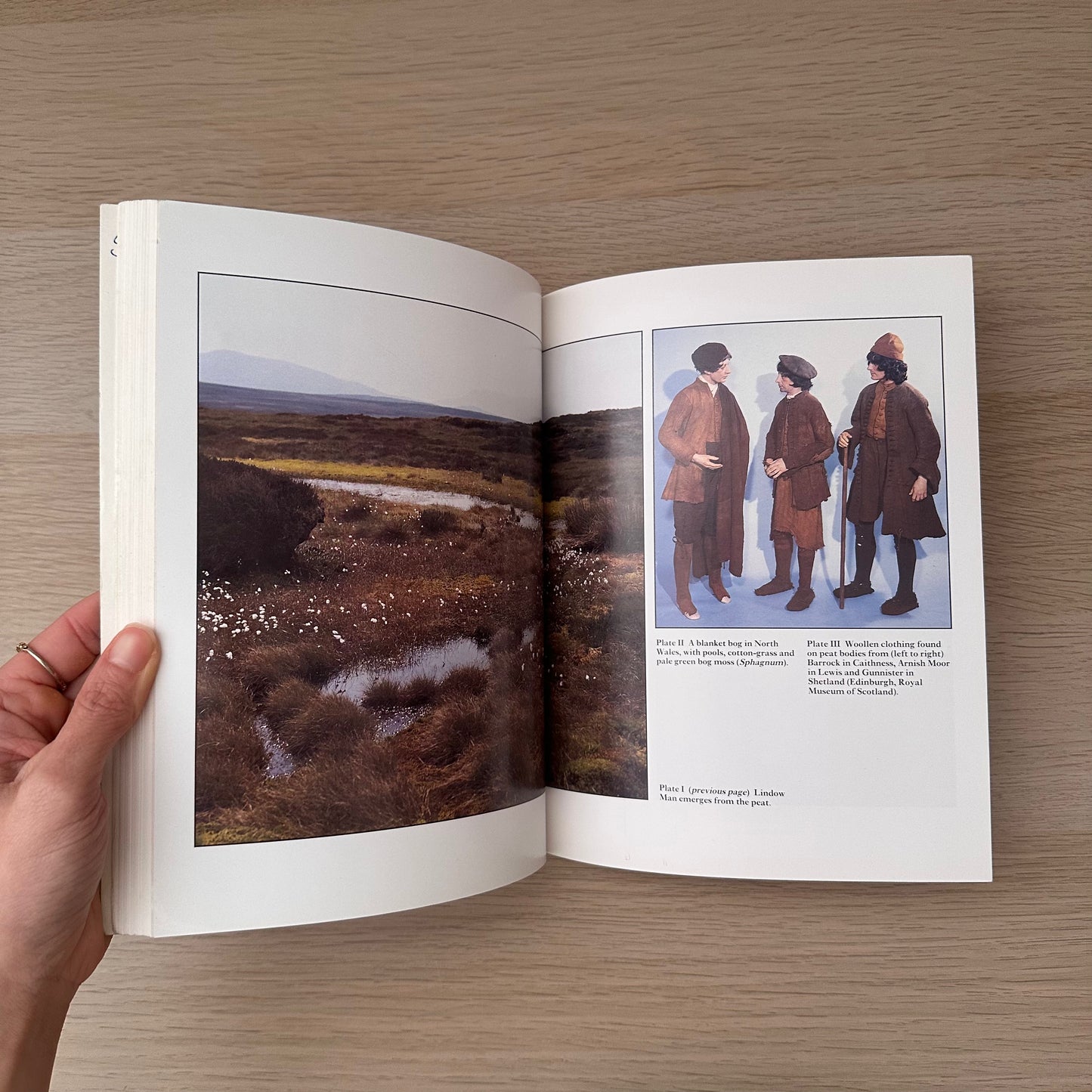 The Bogman and the Archaeology of People | Don Brothwell