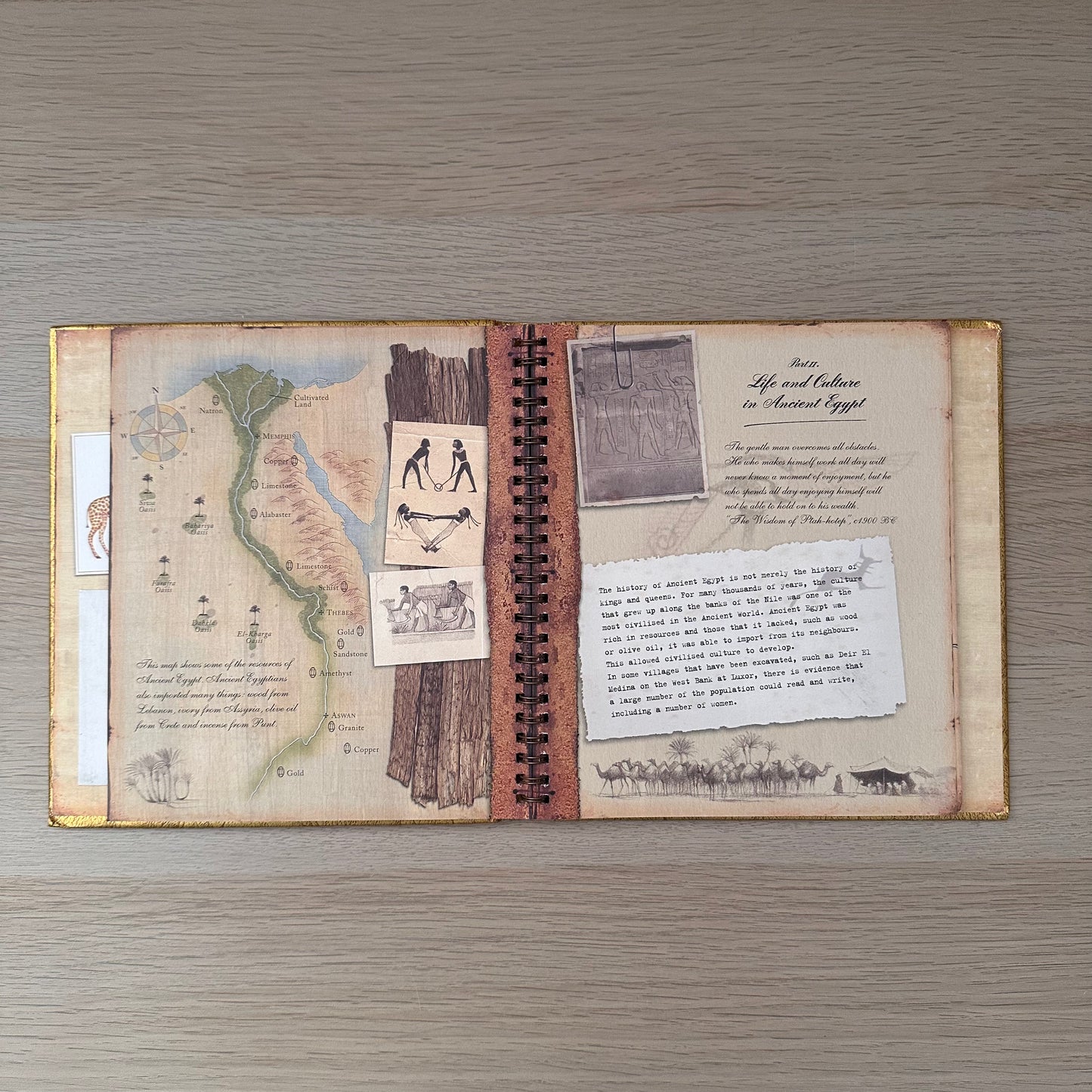 Wonders of Egypt: A Course in Egyptology | Hardcover | Emily Sands
