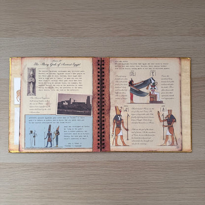 Wonders of Egypt: A Course in Egyptology | Hardcover | Emily Sands