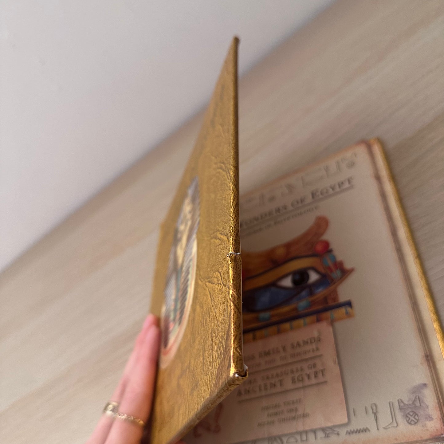 Wonders of Egypt: A Course in Egyptology | Hardcover | Emily Sands