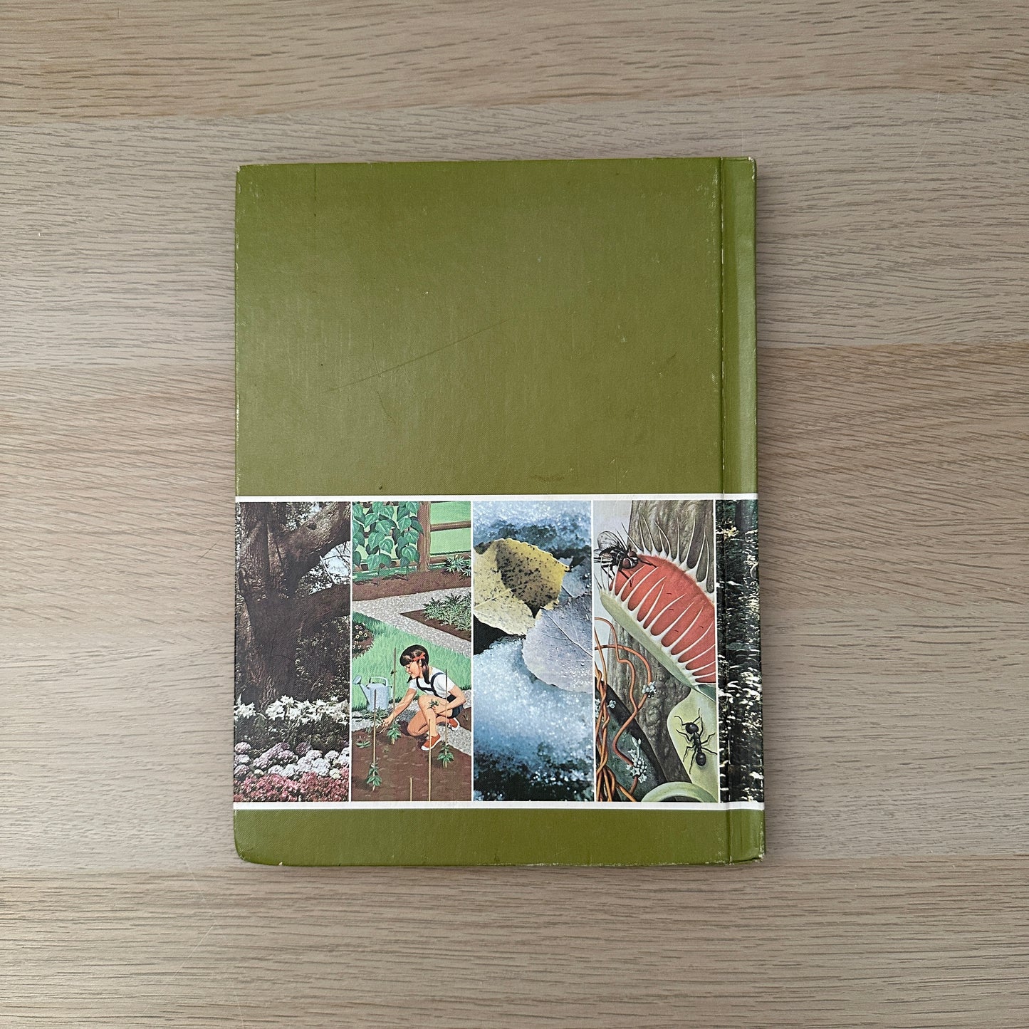 The Green Kingdom | Volume 6 | 1979 | Childcraft