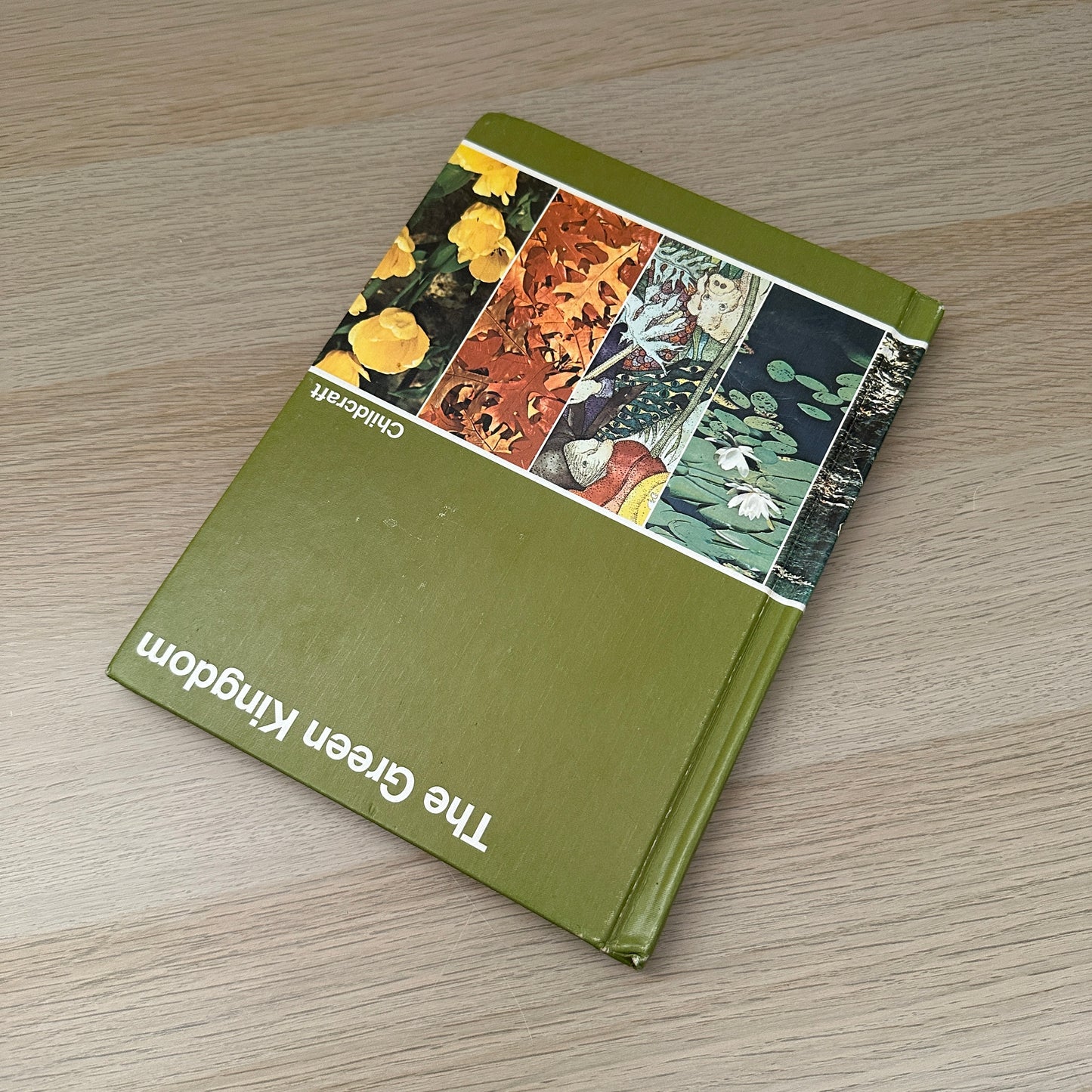 The Green Kingdom | Volume 6 | 1979 | Childcraft