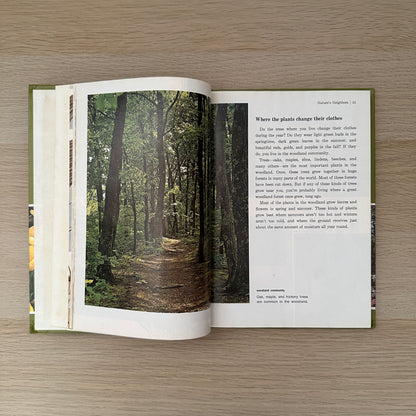 The Green Kingdom | Volume 6 | 1979 | Childcraft