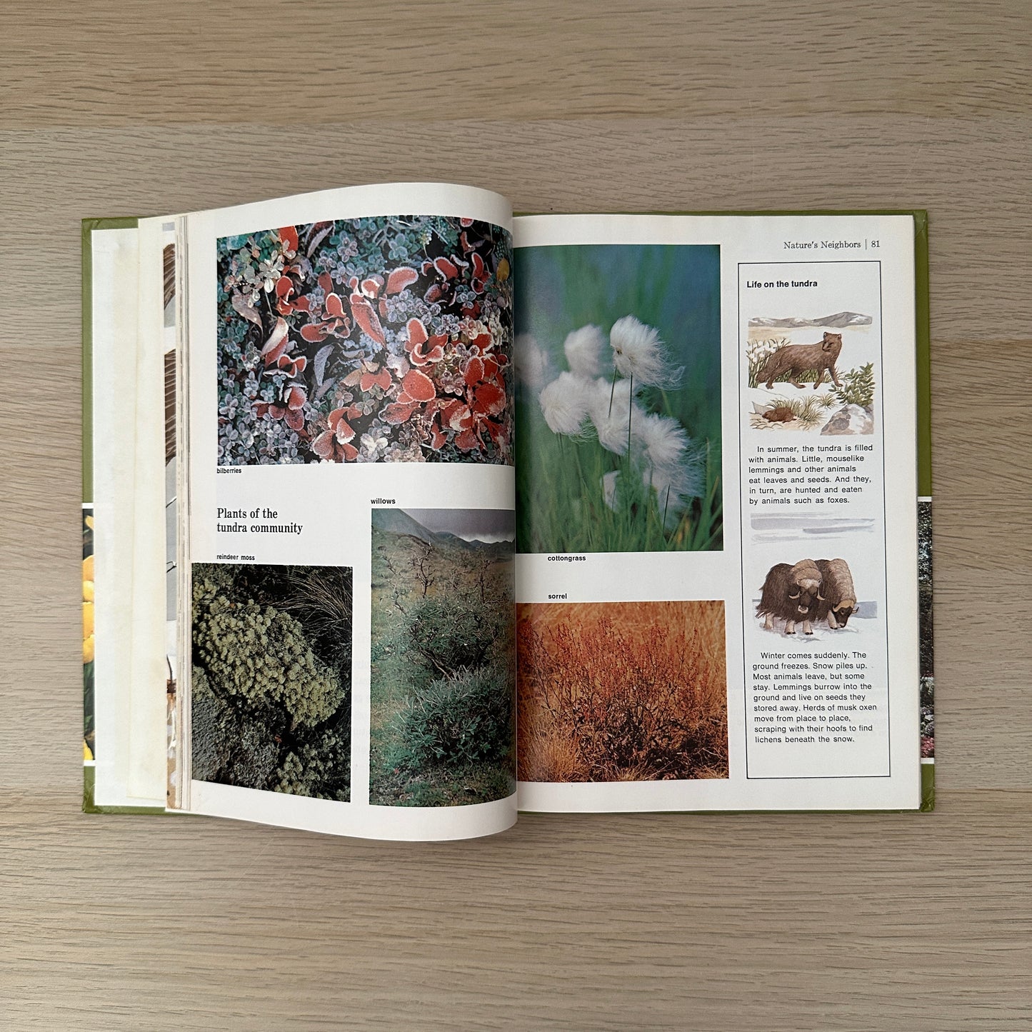 The Green Kingdom | Volume 6 | 1979 | Childcraft