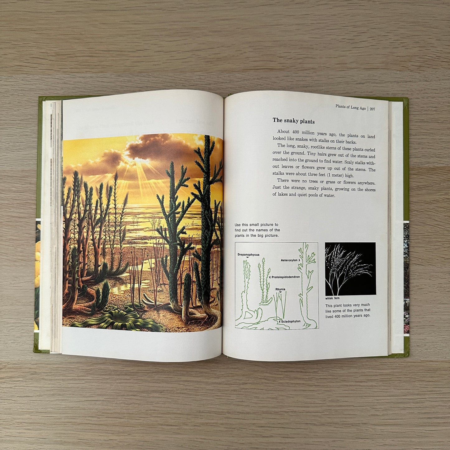 The Green Kingdom | Volume 6 | 1979 | Childcraft
