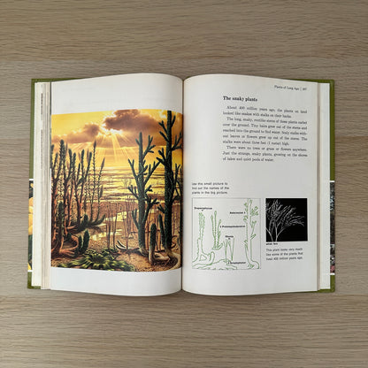 The Green Kingdom | Volume 6 | 1979 | Childcraft