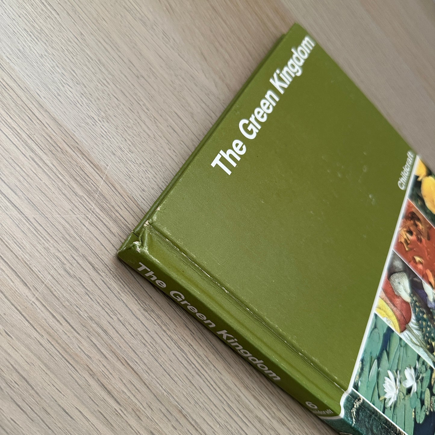The Green Kingdom | Volume 6 | 1979 | Childcraft