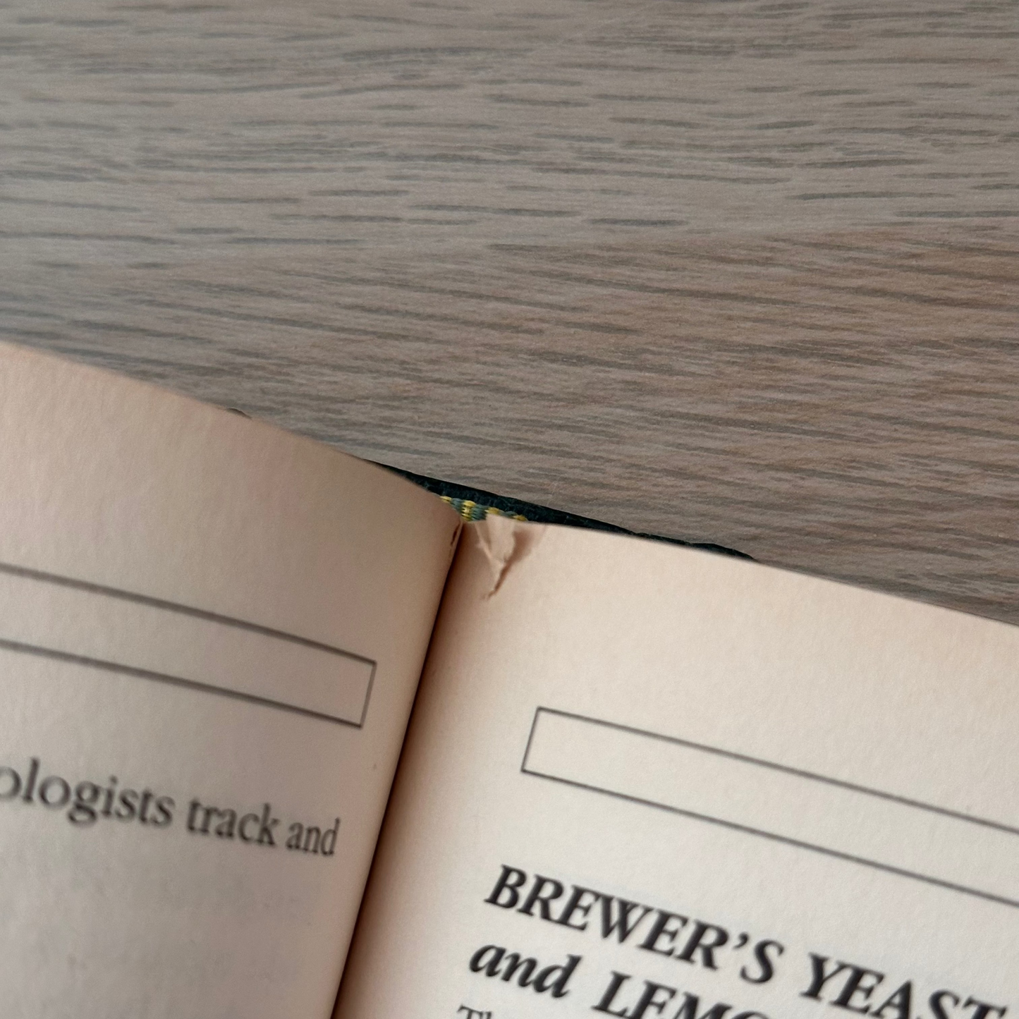 Healing Secrets | Hardcover | 1998 | Carol Daniels