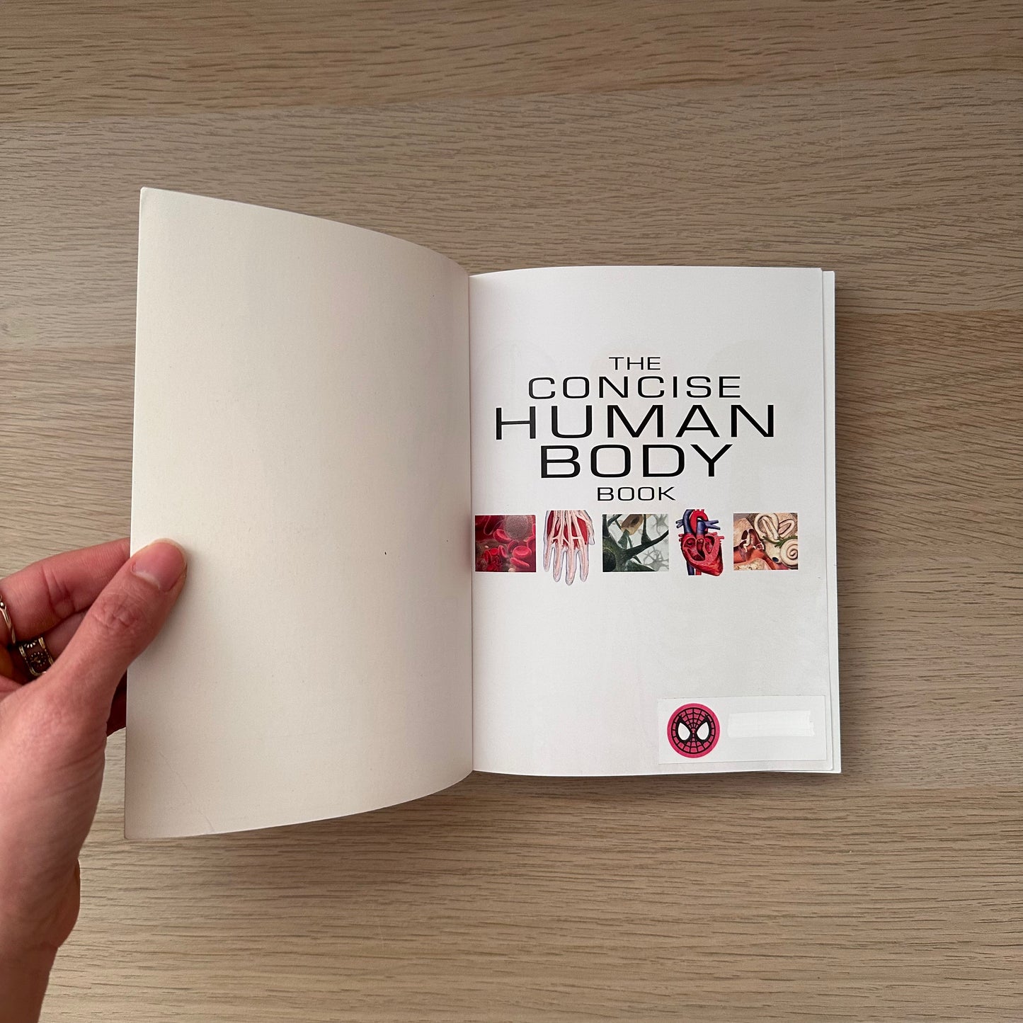 The Concise Human Body Book | An Illustrated Guide