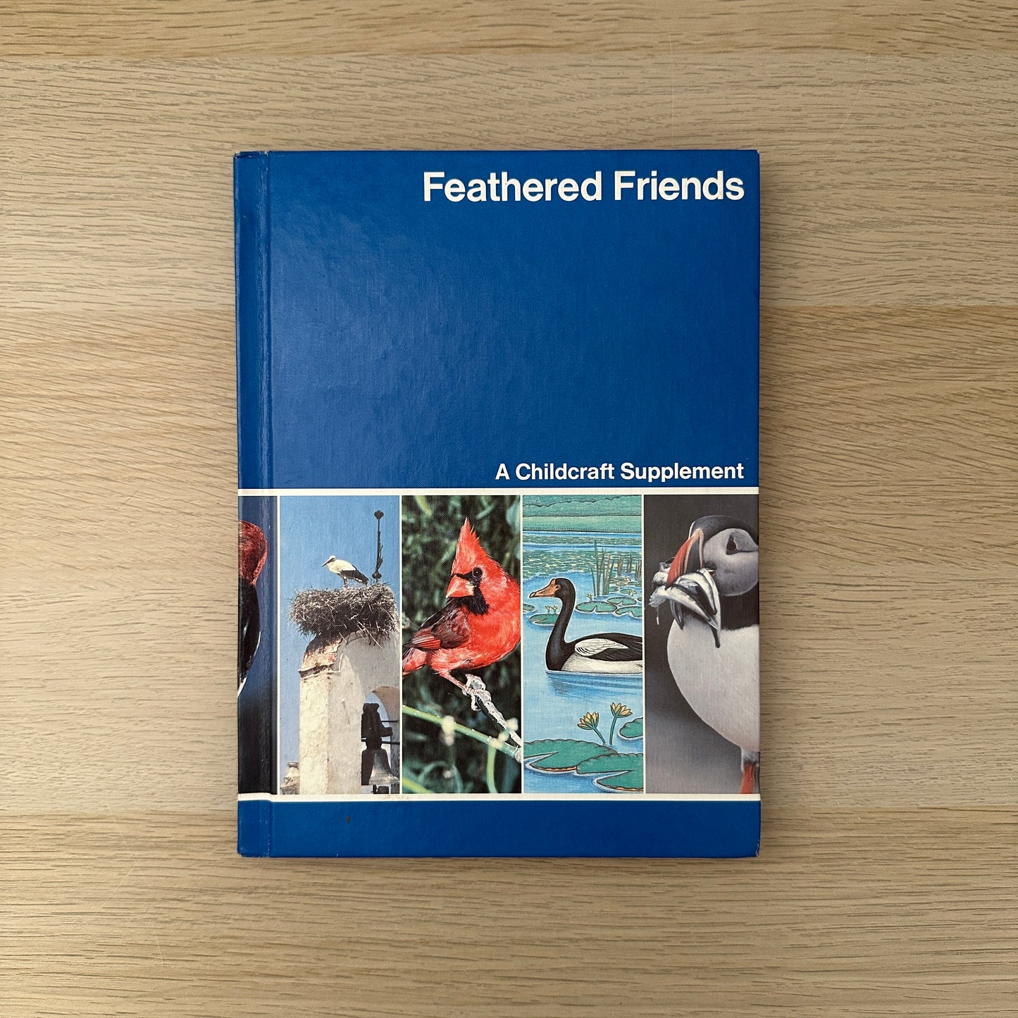 Feathered Friends | Supplement to Childcraft - The How and Why Library | 1983 | Childcraft
