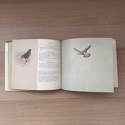 A Season of Birds: A Norfolk Diary 1911 | Edwin Vincent