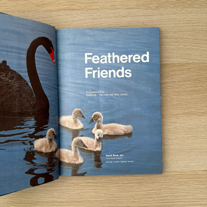 Feathered Friends | Supplement to Childcraft - The How and Why Library | 1983 | Childcraft