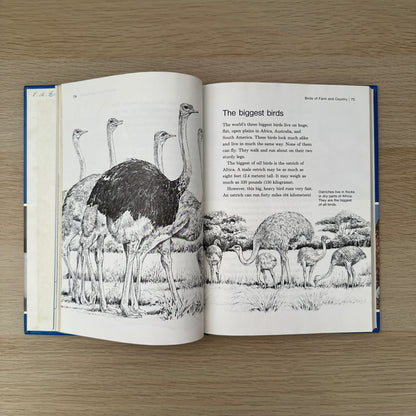 Feathered Friends | Supplement to Childcraft - The How and Why Library | 1983 | Childcraft