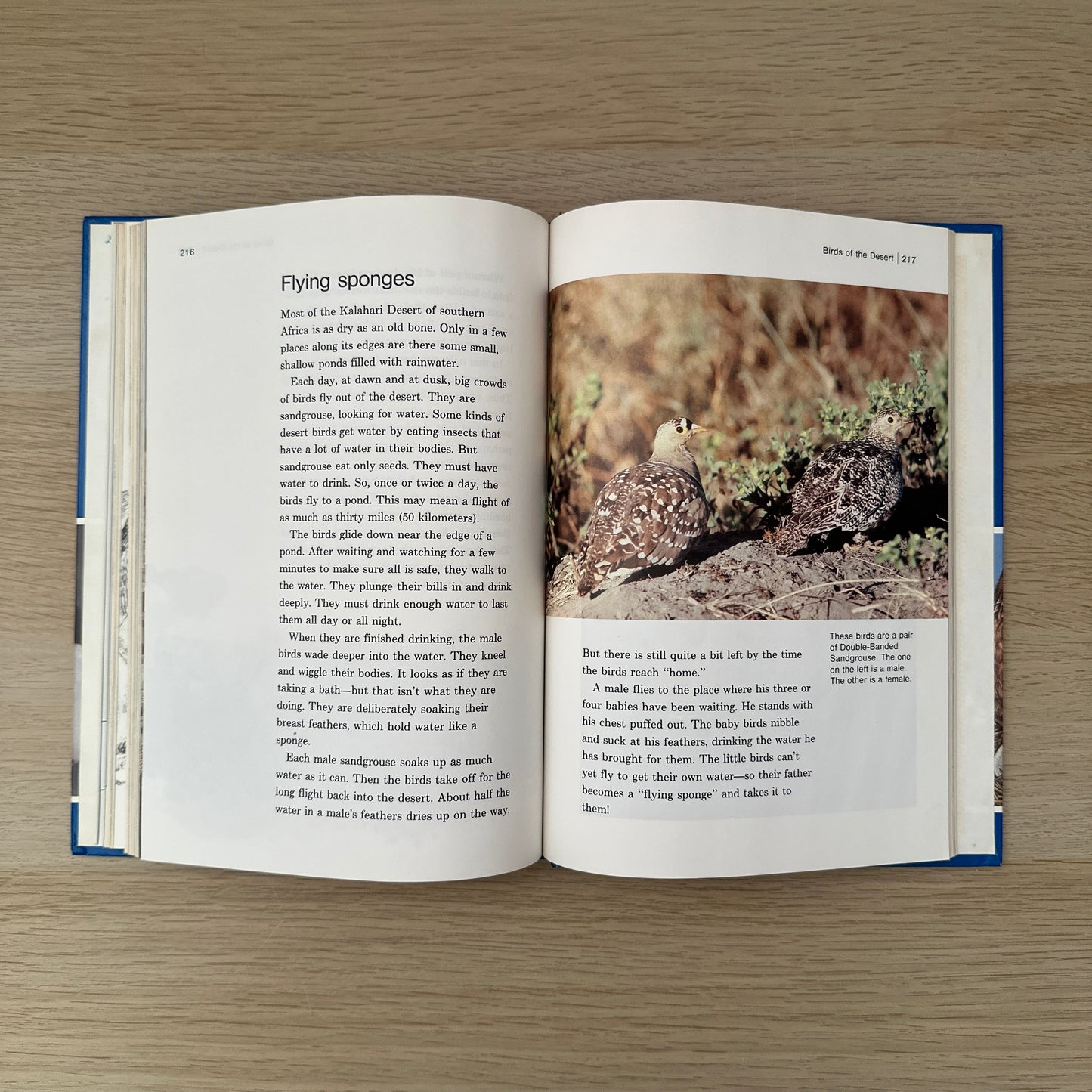Feathered Friends | Supplement to Childcraft - The How and Why Library | 1983 | Childcraft