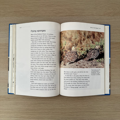 Feathered Friends | Supplement to Childcraft - The How and Why Library | 1983 | Childcraft