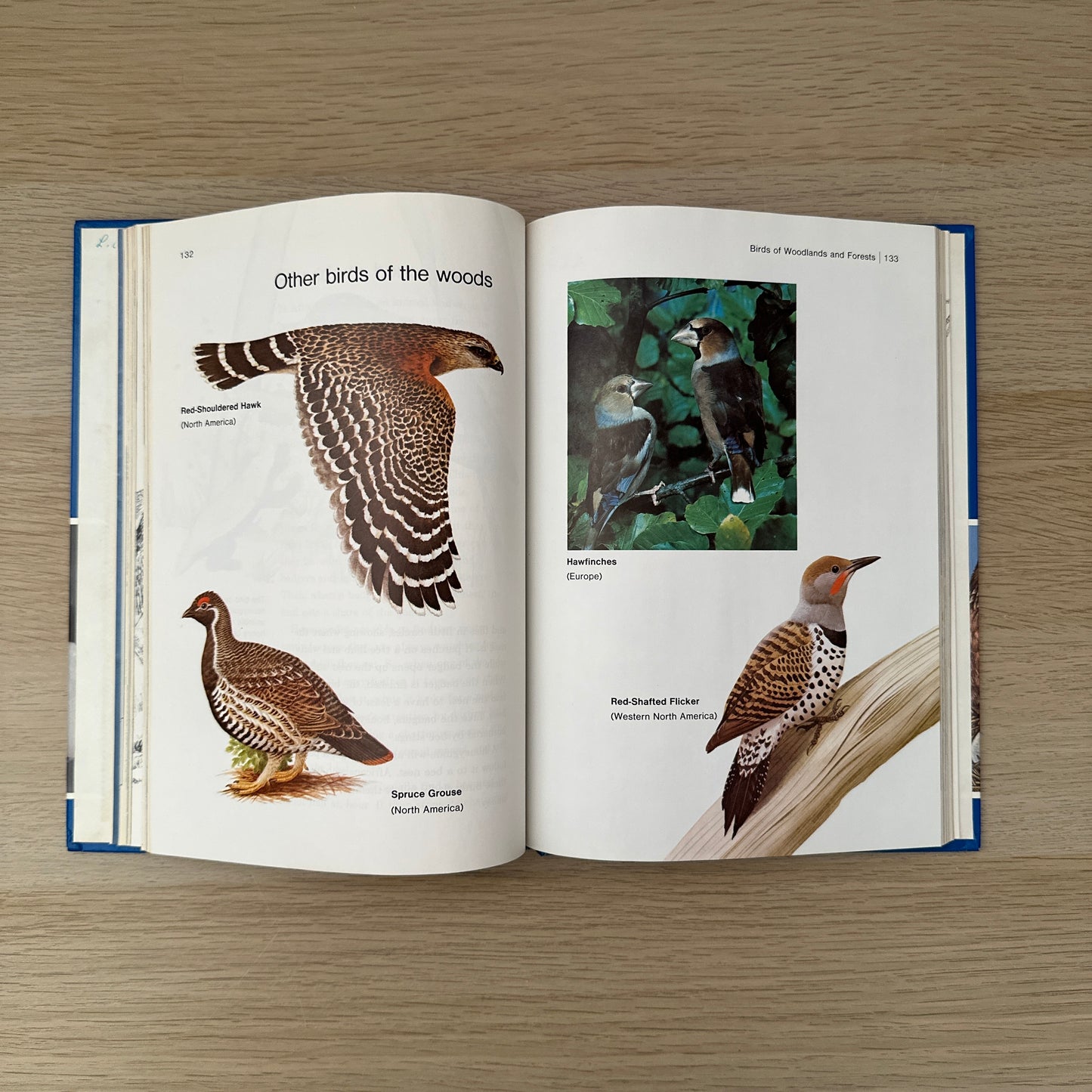 Feathered Friends | Supplement to Childcraft - The How and Why Library | 1983 | Childcraft