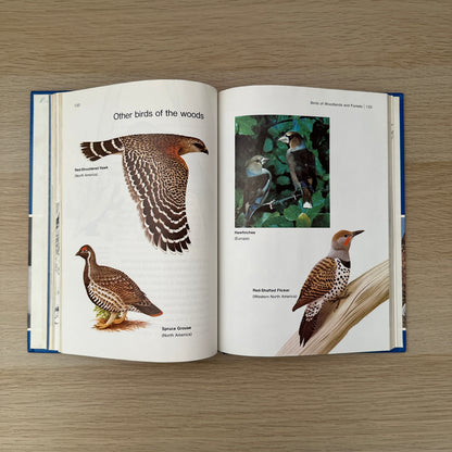 Feathered Friends | Supplement to Childcraft - The How and Why Library | 1983 | Childcraft