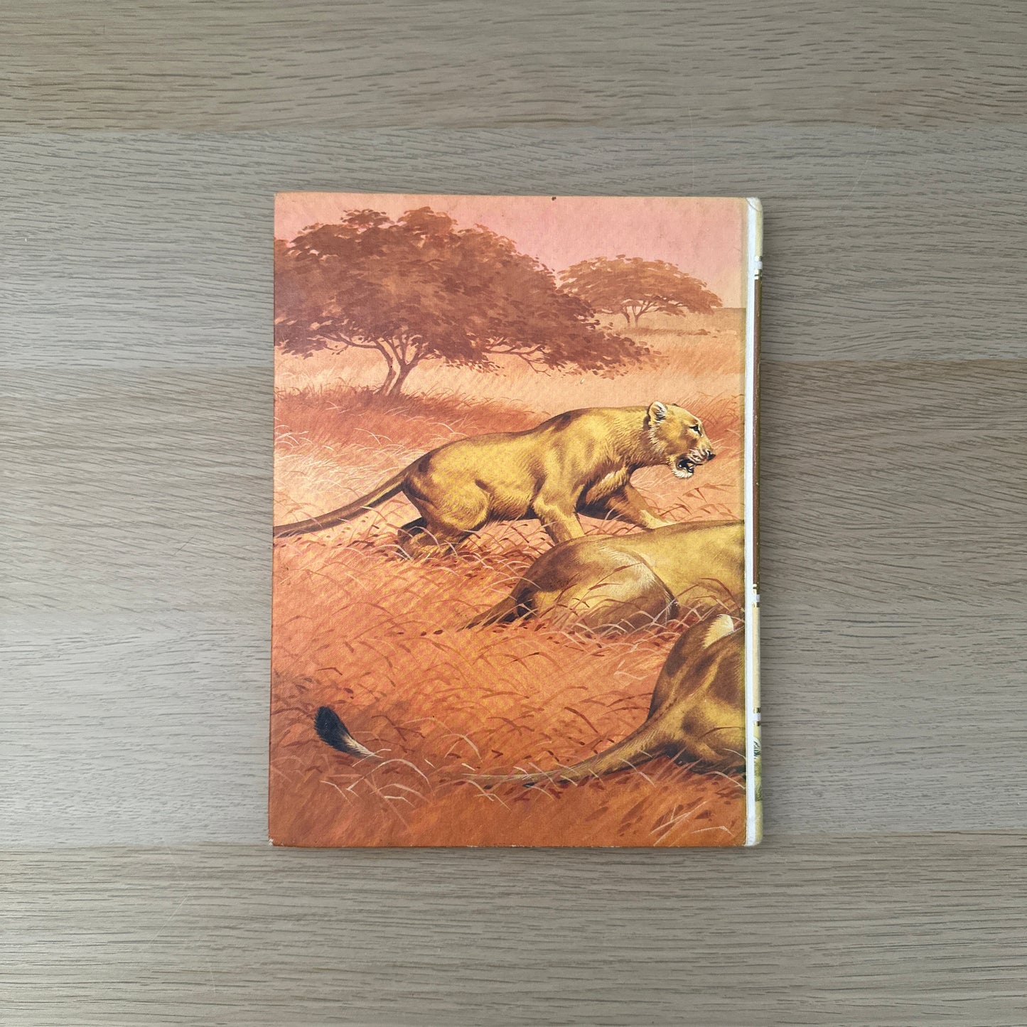 About Animals | Volume 3 | 1989 | Childcraft