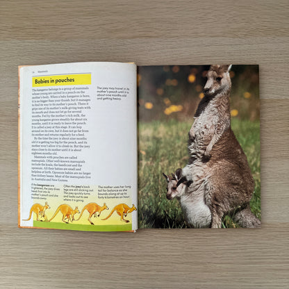 About Animals | Volume 3 | 1989 | Childcraft
