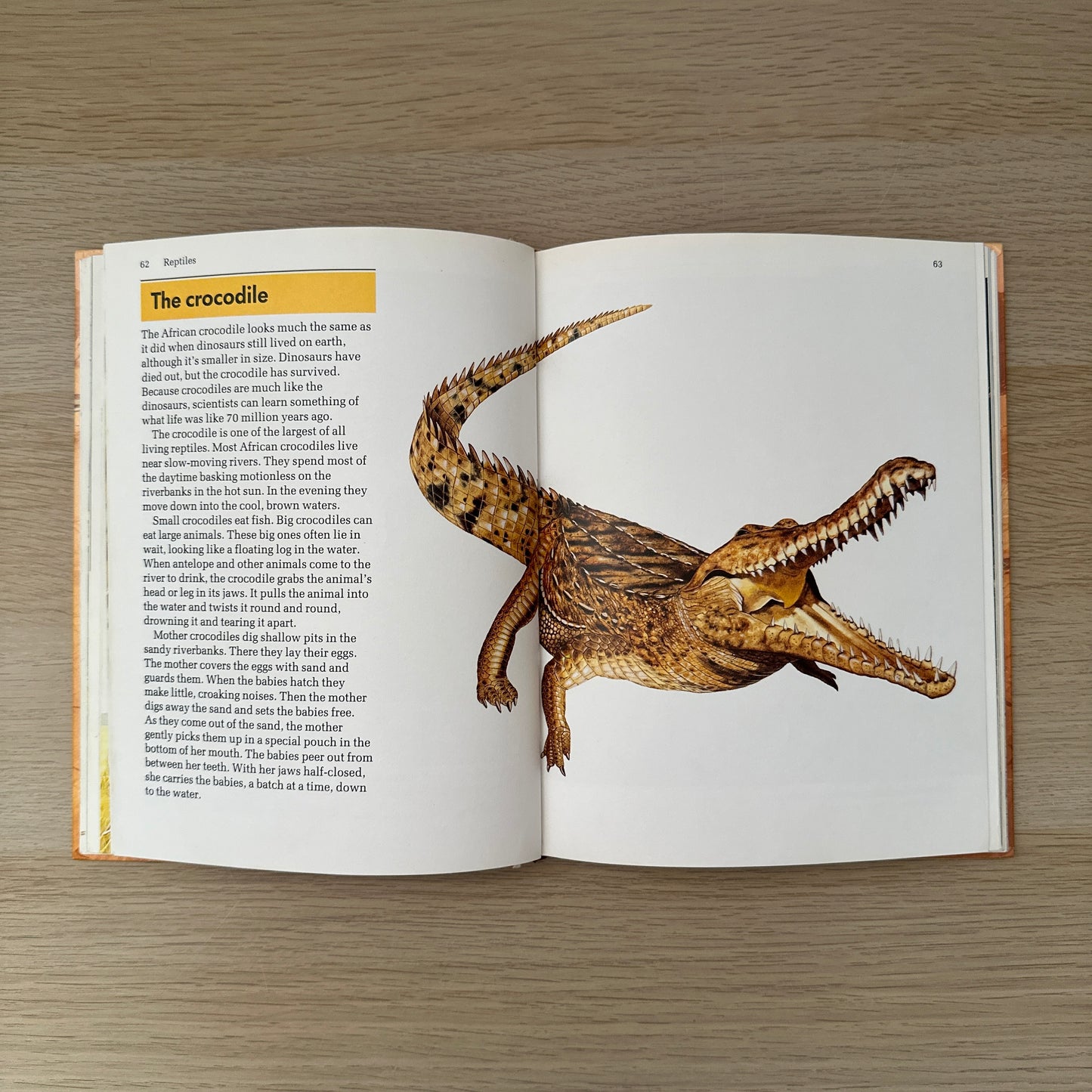About Animals | Volume 3 | 1989 | Childcraft